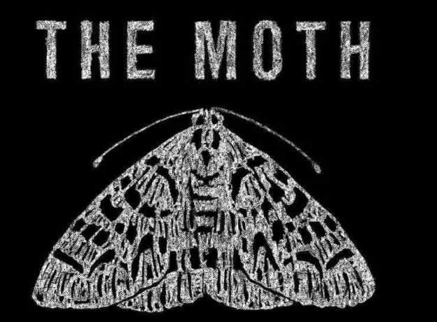Chalk-drawn moth with intricate wing patterns centered on a black background. Bold white text above reads "THE MOTH," conveying simplicity and elegance.