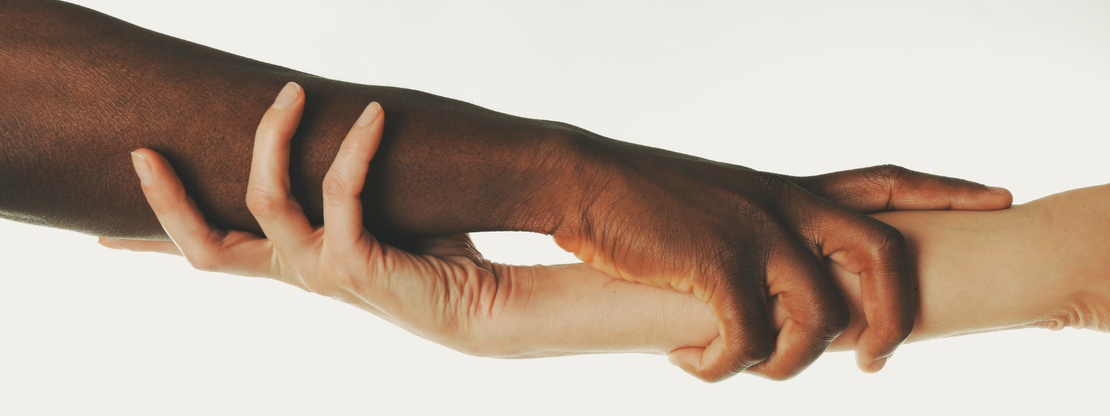 Two hands of different skin tones gently hold each other's forearms against a white background, symbolizing unity and support.