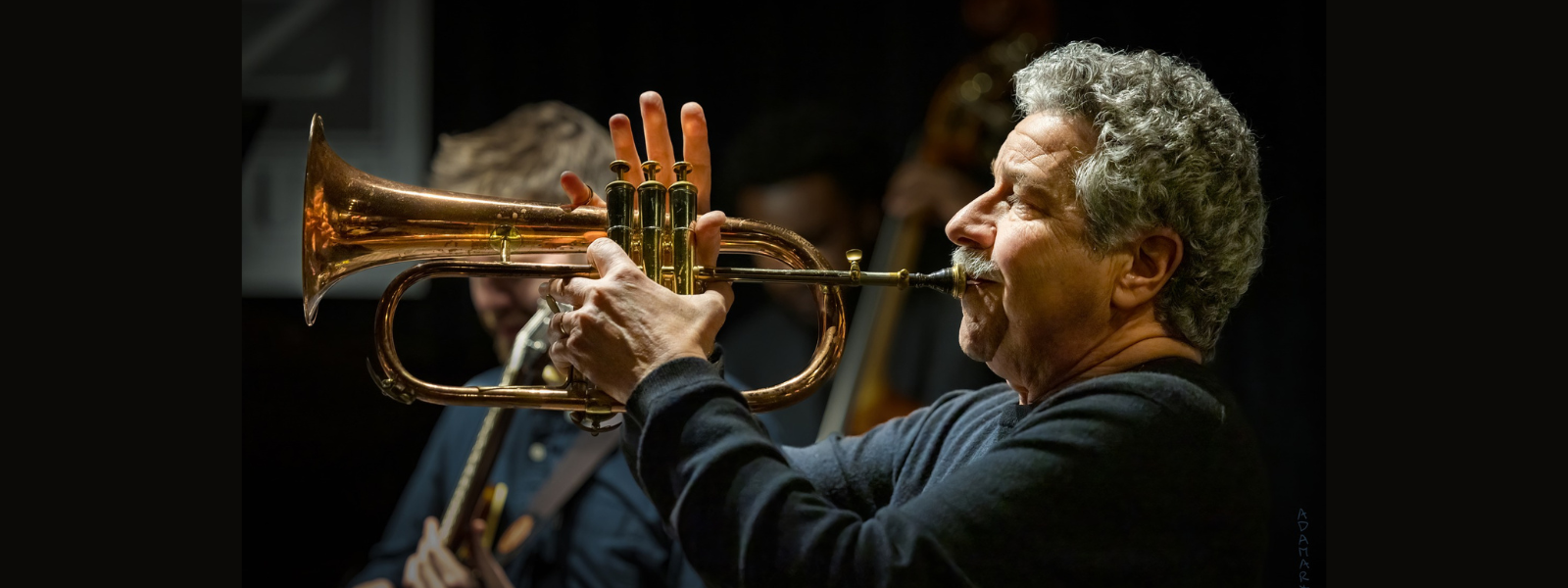 A man passionately plays a trumpet on stage, surrounded by blurred musicians. The warm lighting highlights his focused expression and the brass instrument.