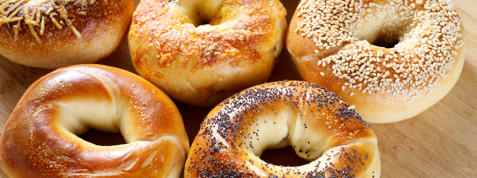 Assorted Bagels